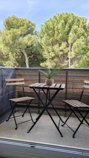 Appartement T2 Avignon proche remparts BALCON et PARKING